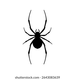 Spider black widow silhouette vector flat illustration design.