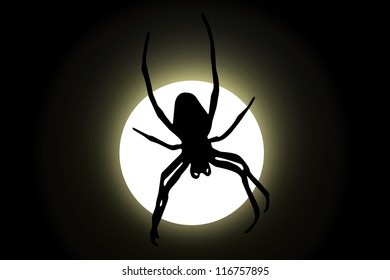 Spider and bright moon at the middle of night