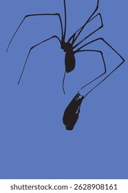 Spider capturing its prey silhouette