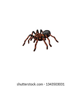 spider cartoon vector on a white background