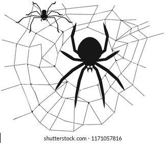 Spider in the center of the web - vector illustration