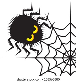 Spider and cobweb