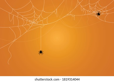 Spider and cobweb background. The scary of the halloween 