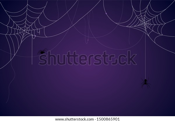 Spider and cobweb\
background. The scary of the halloween symbol Isolated on blue and\
purple vector\
illustration.