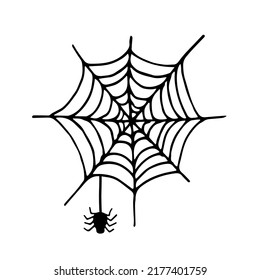 Spider and cobweb doodle vector illustration isolated on white background