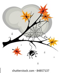 Spider in cobweb in the fall