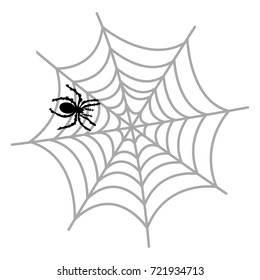 Spider and Cobweb on white background. illustration of spider web on a white background