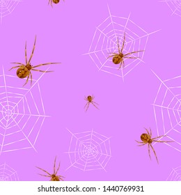 Spider cobweb seamless pattern vector