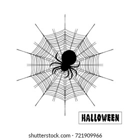 Spider and cobweb vector illustration. Halloween sign text . Halloween poster, invitation or banner.
