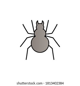 Spider color gradient vector icon