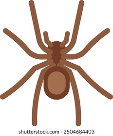 Spider color icon. Insect symbol. Wild animal