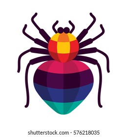 spider with colorful design concept