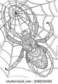 spider coloring outline on a white background illustration antistress for children and adults holiday cobweb insect page book print