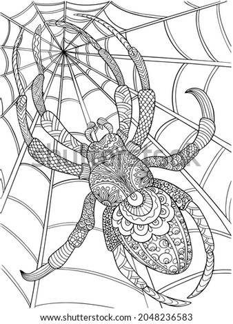spider coloring outline on a white background illustration antistress for children and adults holiday cobweb insect page book print