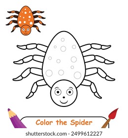 Página para colorear de la araña, libro para colorear para los niños, Vector aislado de la araña, libro para colorear del dibujo de la araña para los niños