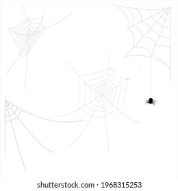 A spider comes down from the web. Different cobwebs for Halloween decoration