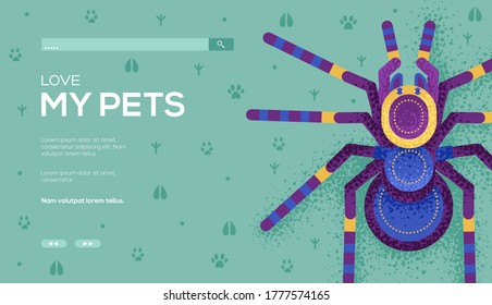 Spider concept flyer, web banner, ui header, enter site. Place for text, place for copying. Grain texture and noise effect. 