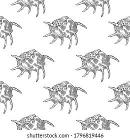 Concha araña o concha de langosta. Colección dibujada a mano en blanco y negro de patrones sin costura. Ilustración vectorial.