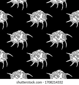 Spider conch or Lambis Seashell. Hand-drawn collection of seamless patterns. Vector illustration.