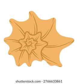 Spider conch shell. Tropical ocean aquatic decoration.