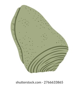 Spider conch shell. Tropical ocean aquatic decoration.