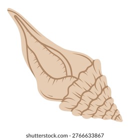 Spider conch shell. Tropical ocean aquatic decoration.