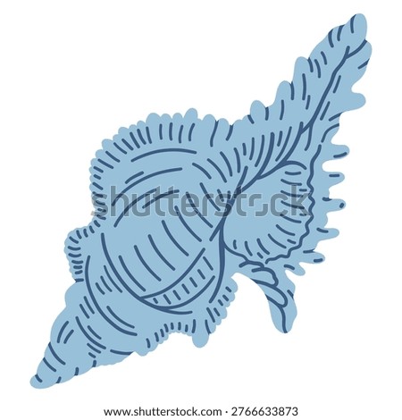 Spider conch shell. Tropical ocean aquatic decoration.