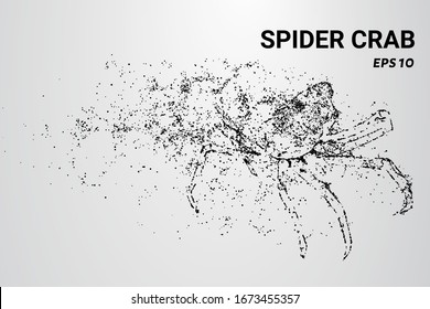 A spider crab made of particles. Spider crab consists of circles and dots. The spider crab splits into molecules.