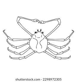 Spider Crab outline illustration on white background. Coloring page, logo, vector illustration.