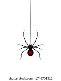 La araña trepa por la red. Icono de araña para web y aplicación. Araña de viuda negra. Ilustración vectorial en fondo aislado blanco.
