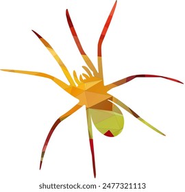 Spider Danger Animal Poison Illustration Vector