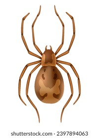 Spider. Dangerous wild insect symbol. Spooky, scary, horror design element. Use for printing, banner drawing or print pattern. Hand drawn top view icon isolated on white background