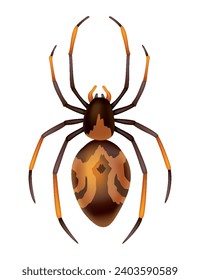 Spider. Dangerous wild insect symbol. Spooky, scary, horror design element. Use for printing, banner drawing or print pattern. Hand drawn top view icon isolated on white background