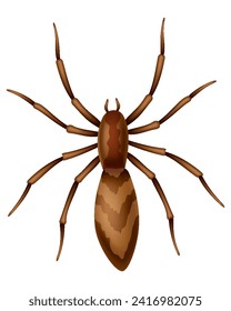 Spider. Dangerous wild insect symbol. Spooky, scary, horror design element. Use for printing, banner drawing or print pattern. Hand drawn top view icon isolated on white background