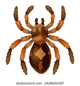 Spider. Dangerous wild insect symbol. Spooky, scary, horror design element. Use for printing, banner drawing or print pattern. Hand drawn top view icon isolated on white background