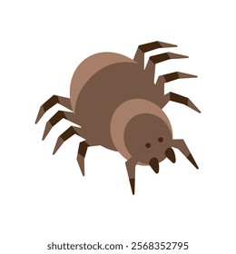 spider desert animal icon isolated