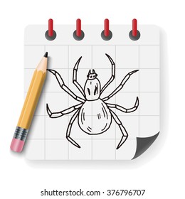 spider doodle