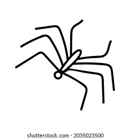 Spider doodle line art. Wild life of an insect. Hand drawing vector illustration. Simple collection element for the holiday Halloween.