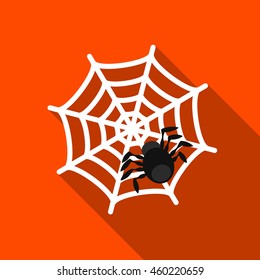 Spider flat icon illustration isolated vector sign symbol