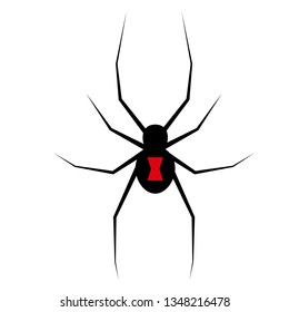 Spider flat illustration on white