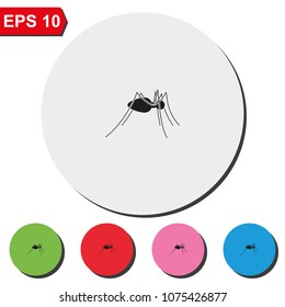 Spider flat round colorful vector icon.