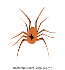 Spider flat silhouette scary, animal poisonous design. Black spider silhouette nature phobia insect danger silhouette vector icon.