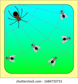 
spider with flies on the web