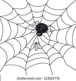 Spider with a fly in a web. Illustration on white background.