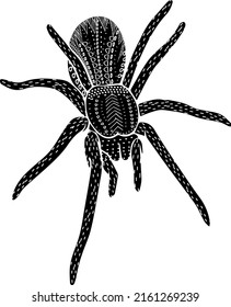 spider folk with ornament mystical insect for halloween isolated vector hand drawn