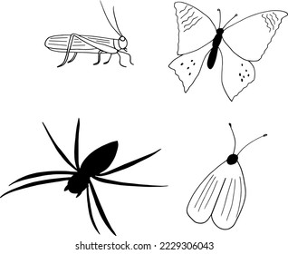 araña, saltamontes, mariposa, langosta, polilla dibujada a mano en forma de doodle. poner insecto. 