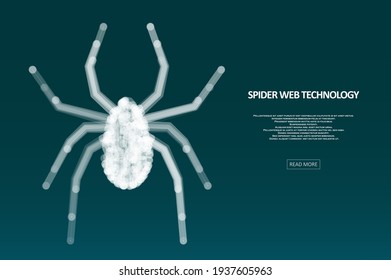 Spider hacker attack danger. Data safety antivirus concept. Big data protection from cybercrime. Graphic concept for your design