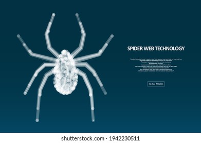 Spider hacker attack danger. Data safety antivirus concept. Big data protection from cybercrime. Graphic concept for your design