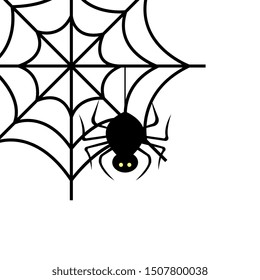 spider of halloween in cobweb