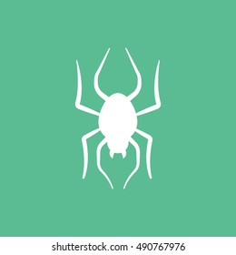 Spider Halloween Concept  Flat Icon On Green Background
